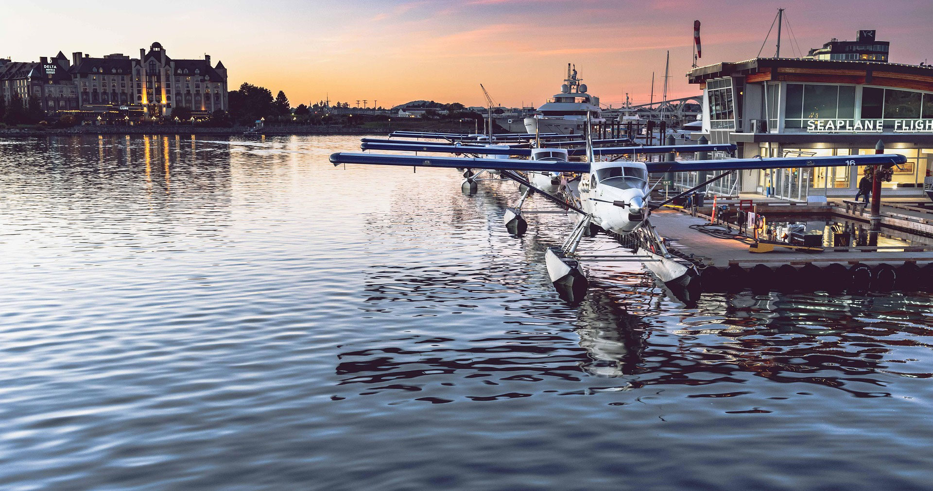 Market IQ empowers Victoria BC businesses with advanced web design, SEO, and digital marketing strategies