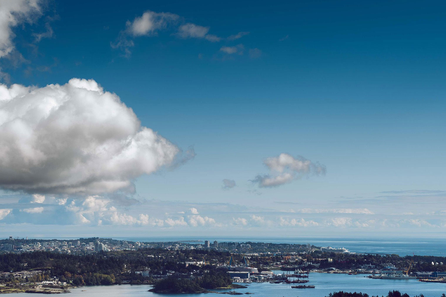 Victoria BC Real Estate Marketing Trends 2025